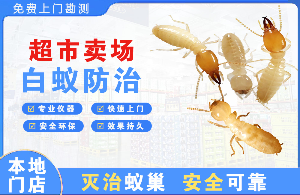 广州超市卖场白蚁防治