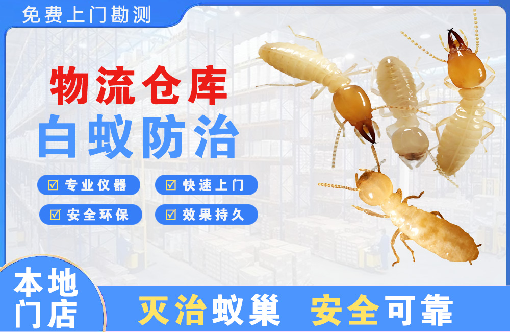 广州物流仓库白蚁防治