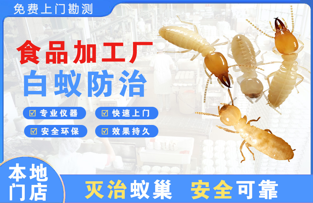 广州食品加工厂白蚁防治
