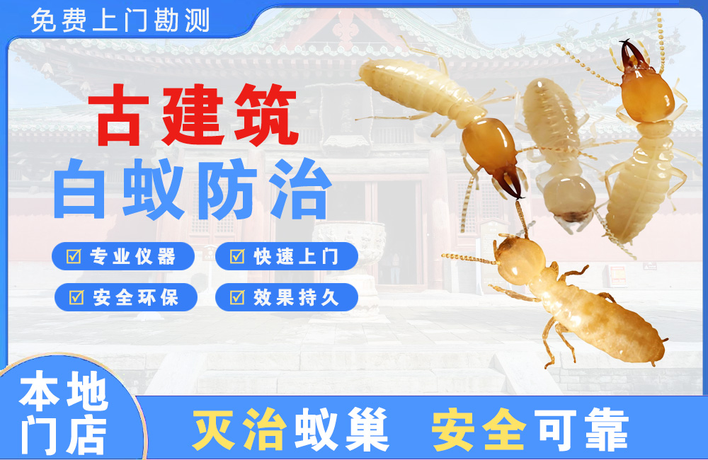 广州古建筑白蚁防治